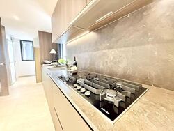 Tembusu Grand (D15), Condominium #597189081